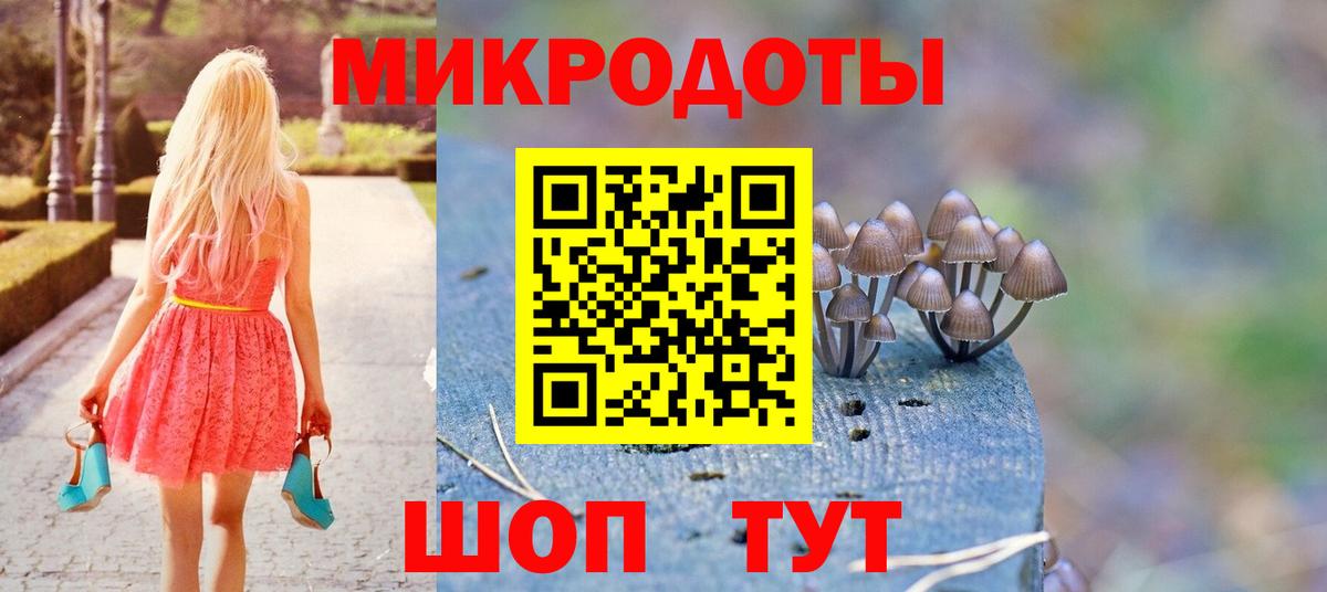 Приморско-Ахтарск  Псилоцибиновые грибы ЛСД  где можно купить наркотик  Вход с VPN 